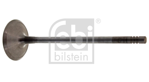 Intake Valve